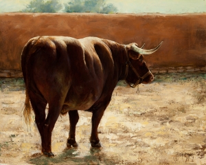 Ox at the Fort